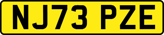 NJ73PZE