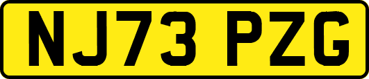 NJ73PZG