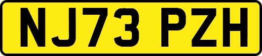 NJ73PZH