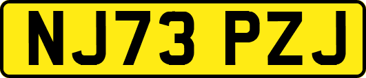 NJ73PZJ