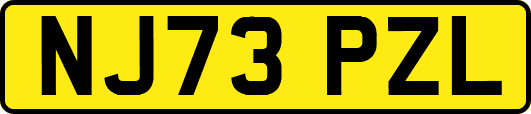 NJ73PZL