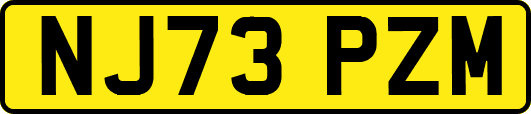 NJ73PZM