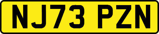 NJ73PZN