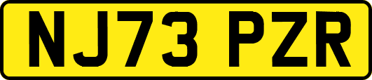 NJ73PZR