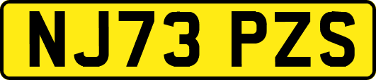 NJ73PZS