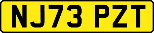NJ73PZT
