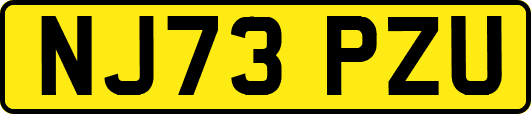 NJ73PZU