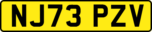 NJ73PZV