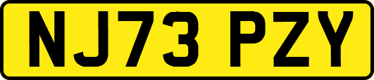 NJ73PZY