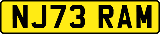 NJ73RAM