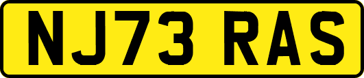NJ73RAS