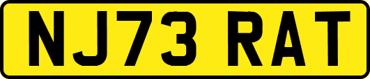 NJ73RAT