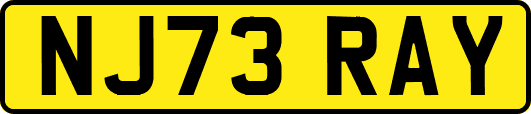 NJ73RAY