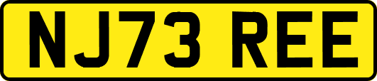 NJ73REE