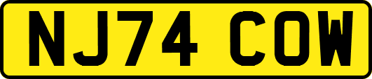 NJ74COW