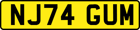 NJ74GUM