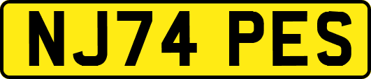 NJ74PES