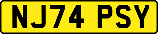 NJ74PSY