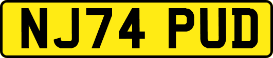 NJ74PUD
