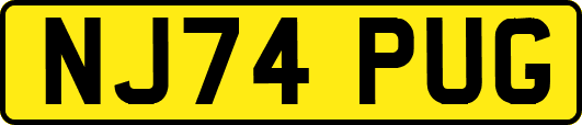 NJ74PUG