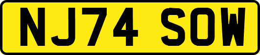 NJ74SOW