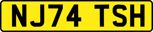 NJ74TSH