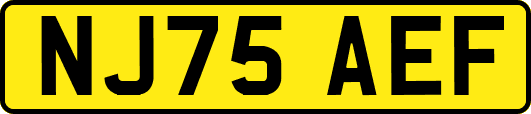 NJ75AEF
