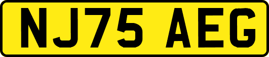 NJ75AEG