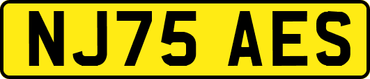 NJ75AES