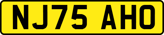 NJ75AHO