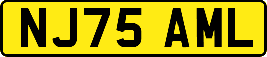 NJ75AML