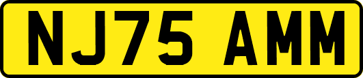 NJ75AMM