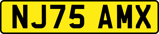 NJ75AMX