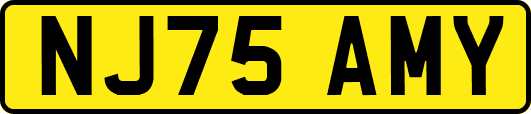 NJ75AMY