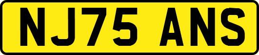 NJ75ANS
