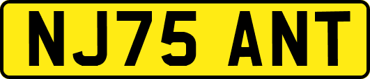 NJ75ANT
