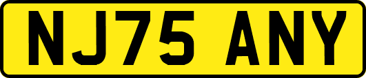 NJ75ANY
