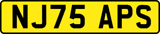 NJ75APS