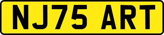NJ75ART