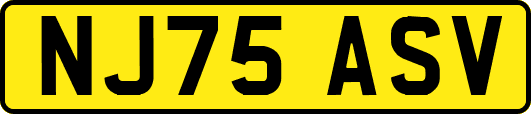 NJ75ASV