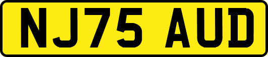 NJ75AUD