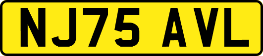 NJ75AVL