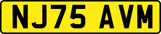 NJ75AVM