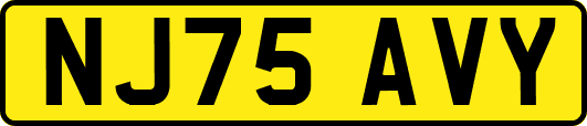 NJ75AVY