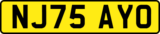 NJ75AYO