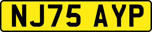 NJ75AYP