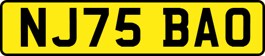 NJ75BAO