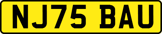 NJ75BAU