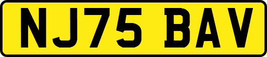 NJ75BAV