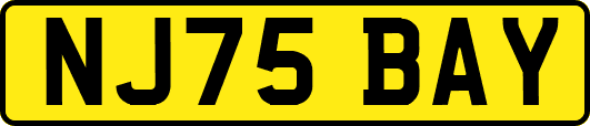 NJ75BAY